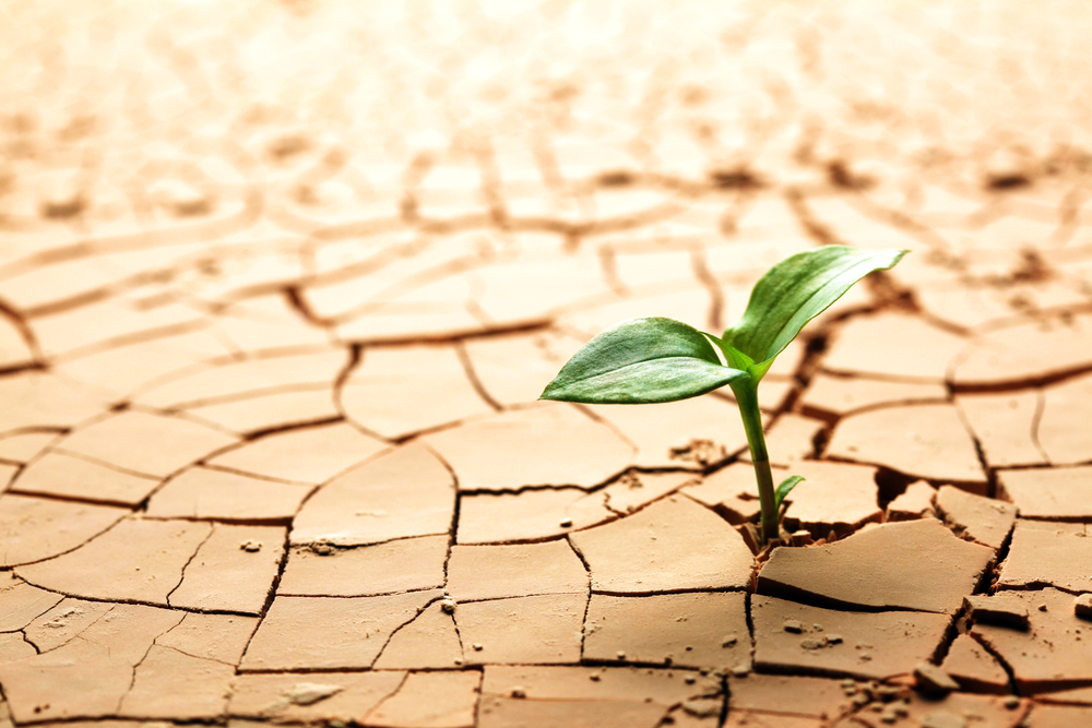 都立大学の歯医者、あさの歯科クリニック